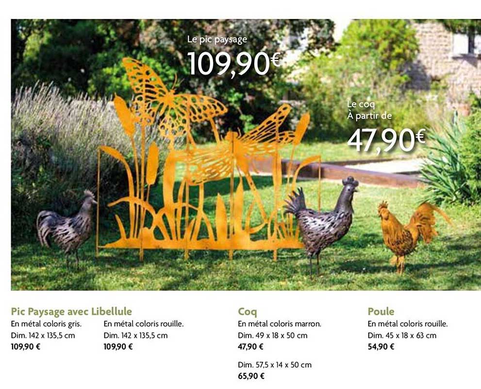 pic paysage avec libellule, coq, poule