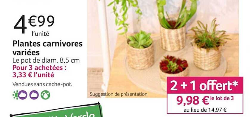 plantes carnivores variées