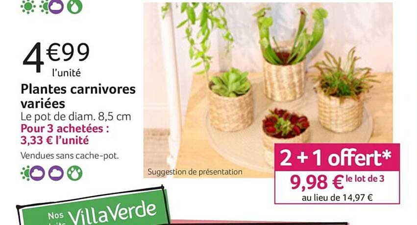 plantes carnivores variées