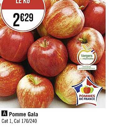 Pomme Gala
