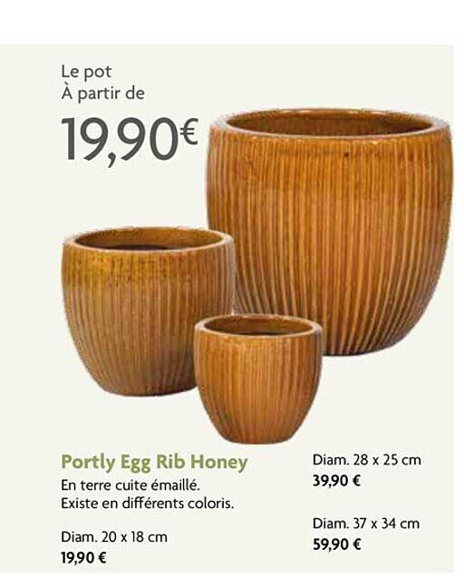 portly egg rib honey