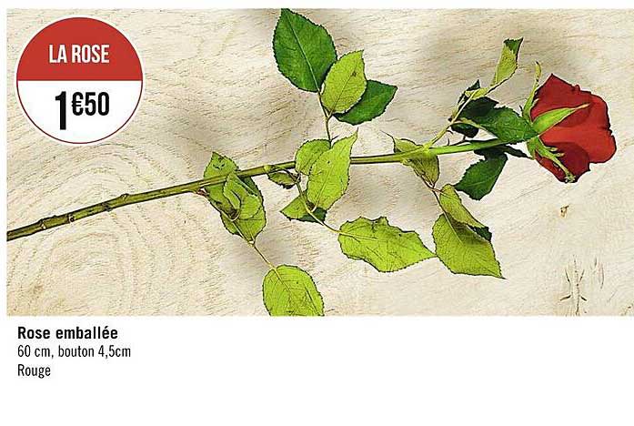 rose emballée