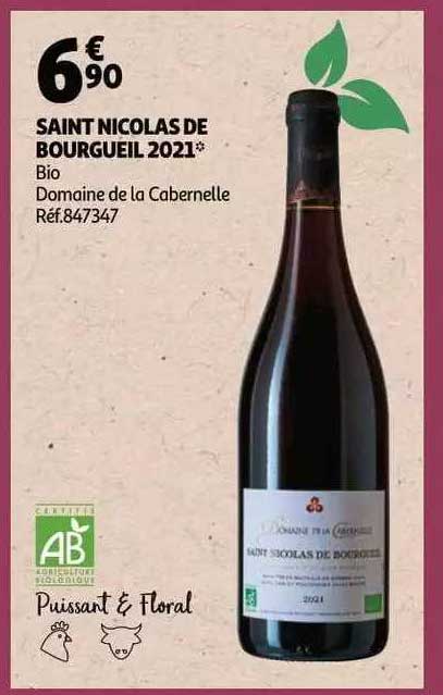 Saint Nicolas De Bourgueil 2021 Bio Domaine De La Cabernelle