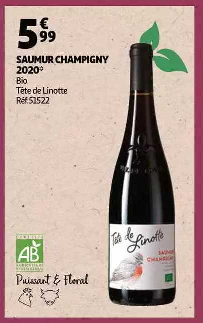 saumur champigny 2020 bio tête de linotte