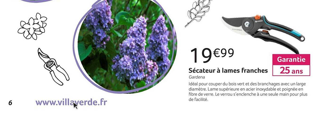 Sécateur à Lames Franches