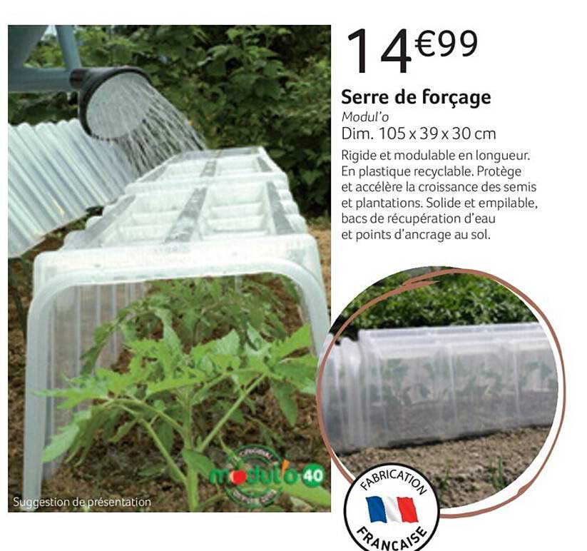 serre de forçage
