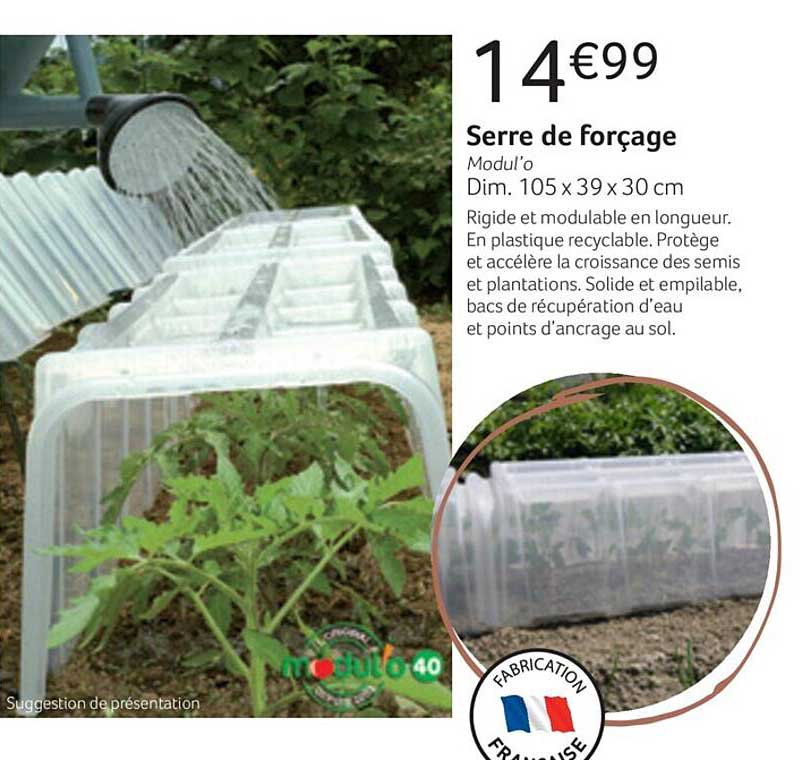 serre de forçage modul'o