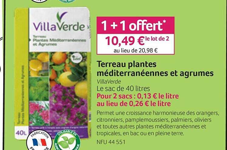 terreau plantes méditerranéennes et agrumes villaVerde