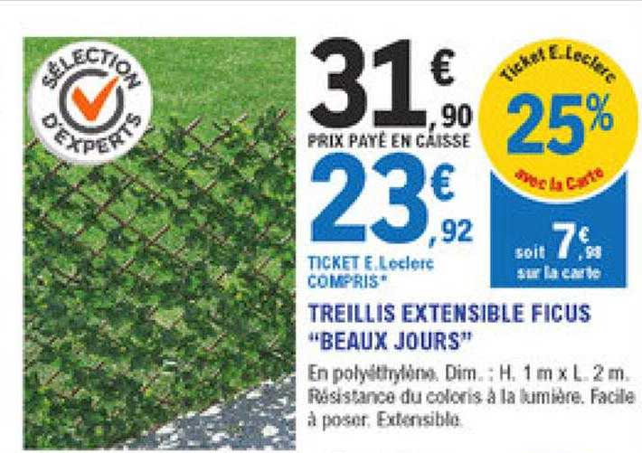 treillis extensible ficus "beaux jours"