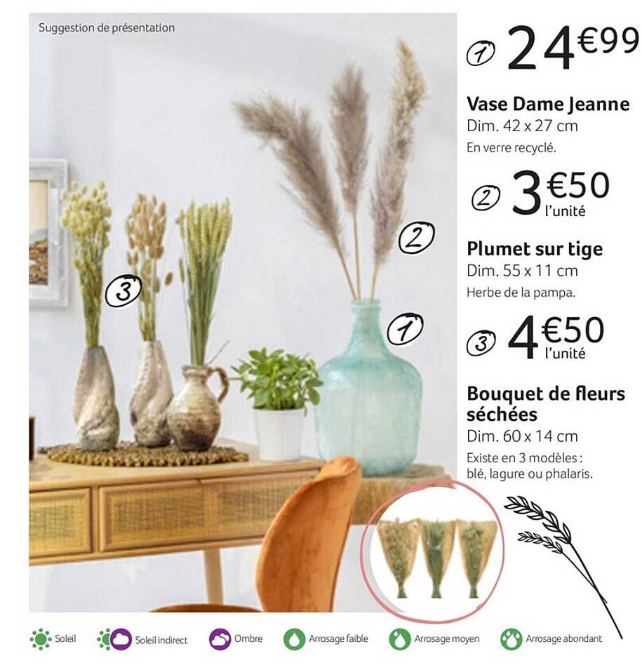 vase dame jeanne, plumet sur tige, bouquet de fleurs séchées