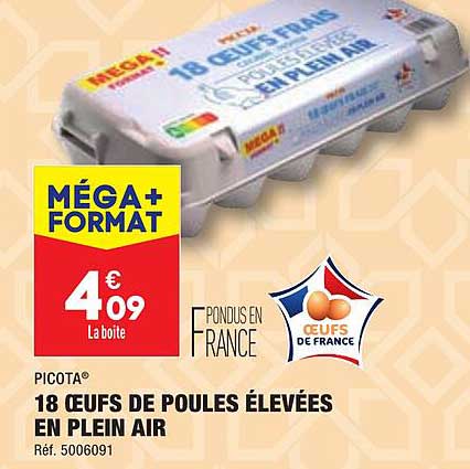 18 œufs de poules élevées en plein air picota