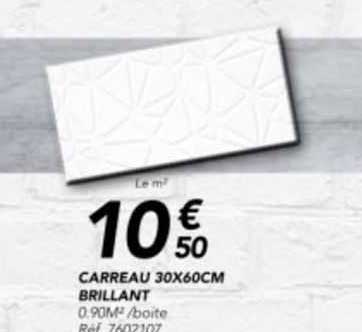 carreau 30 x 60 cm brillant