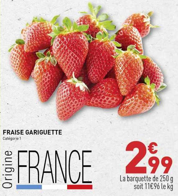 fraise gariguette