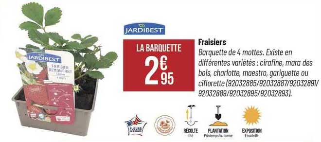 fraisiers jardibest