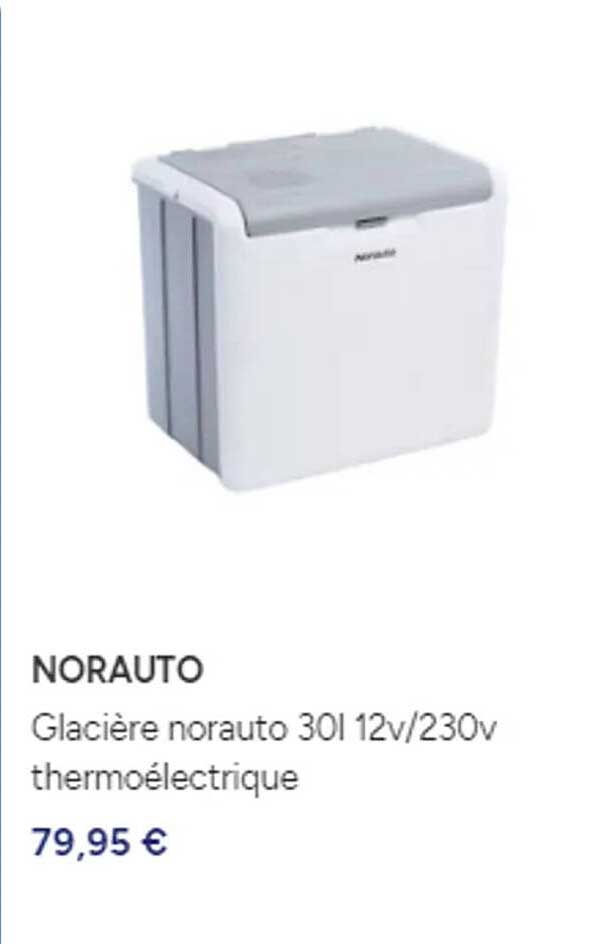 glacière norauto 30 l 12 v/230 v thermoélectrique