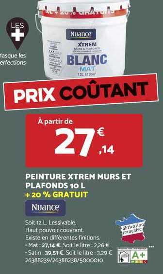 peinture extrem murs et plafonds 10 l + 20% gratuit nuance