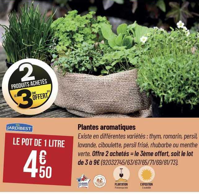plantes aromatiques jardibest