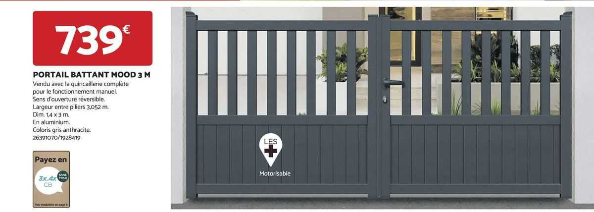 portail battant mood 3 m