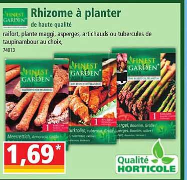 Rhizome à Planer Finest Garden