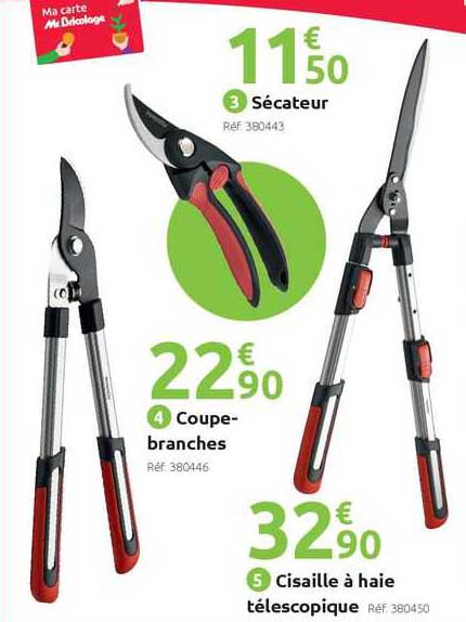 sécateur, coupe-branches, cisaille à haie télescopique