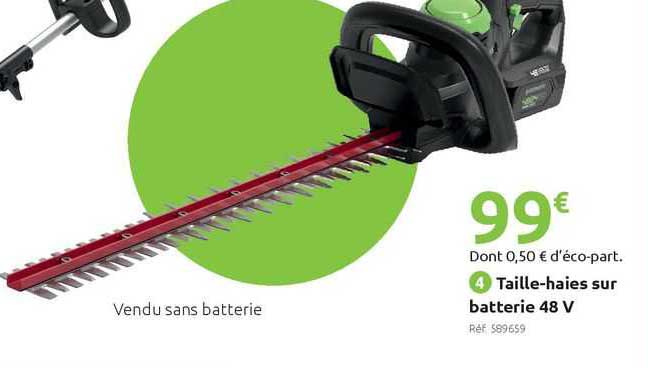 taille-haies sur batterie 48 v