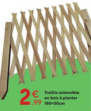 treillis extensible en bois à planter 180 x 30 cm