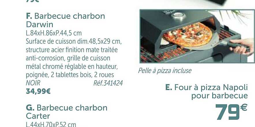 barbecue charbon darwin, barbecue charbon carter, four à pizza napoli pour barbecue