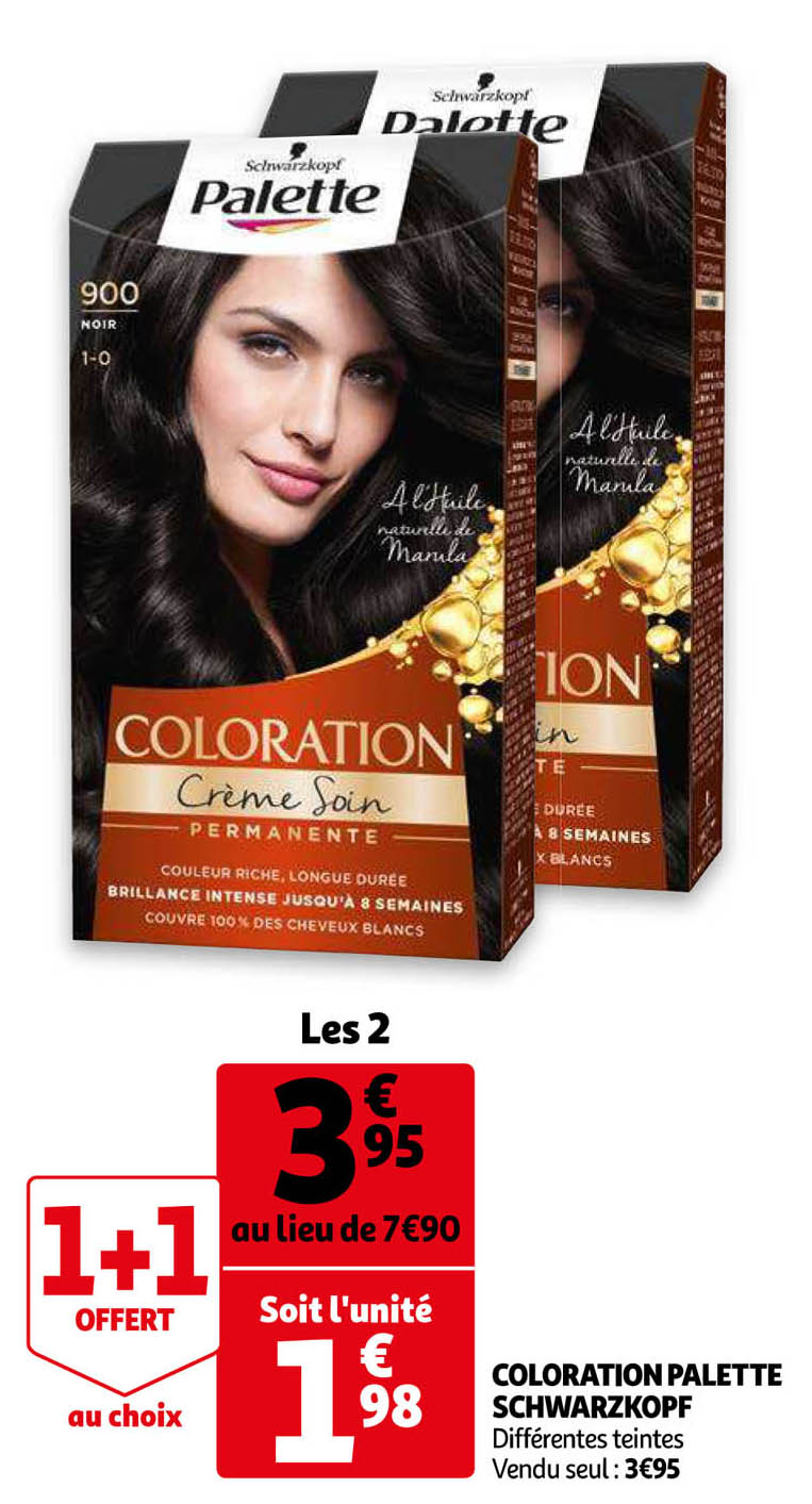Coloration Palette Schwarzkopf