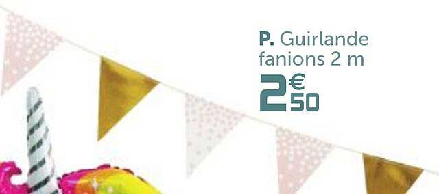guirlande fanions 2 m