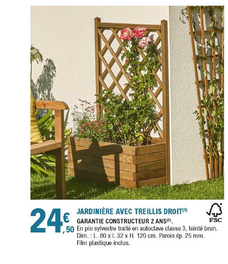 Jardinière Avec Treillis Droit