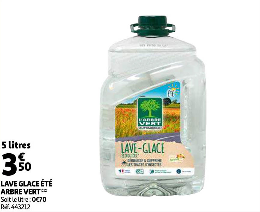 lave glace été arbre vert