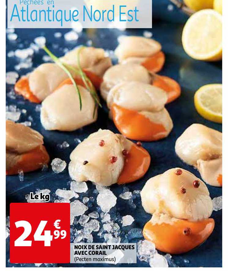 noix de saint jacques avec corail