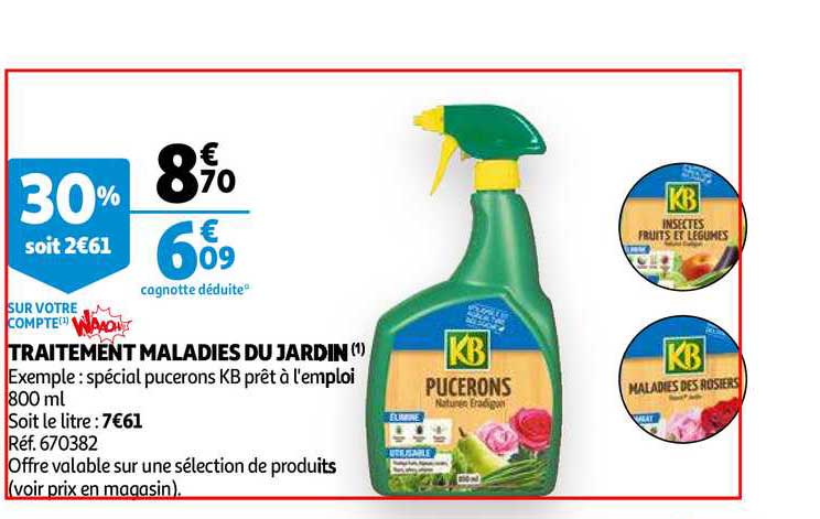 Traitement Maladies Du Jardin