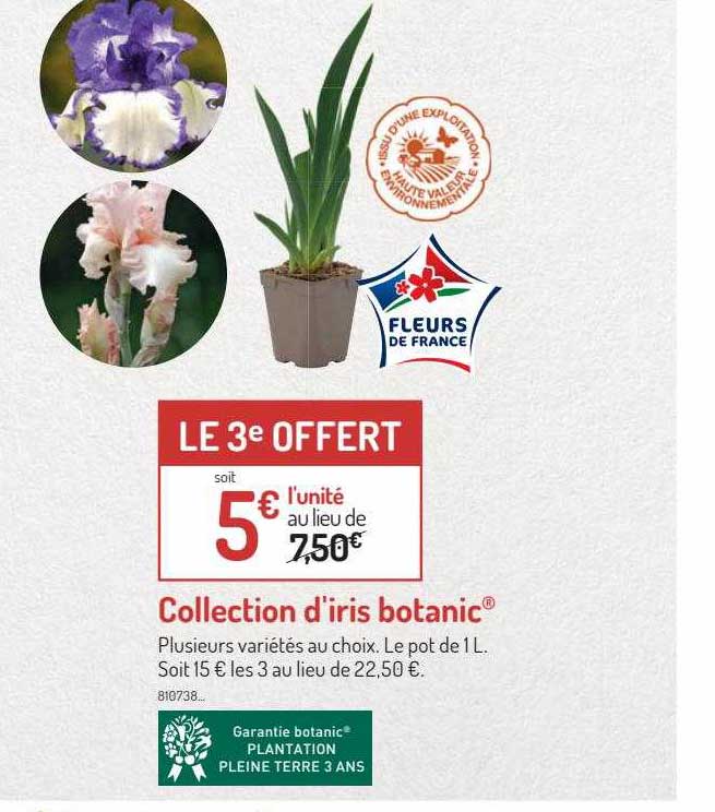 collection d'iris botanic