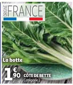 côte de bette