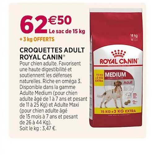 croquettes adult royal canin