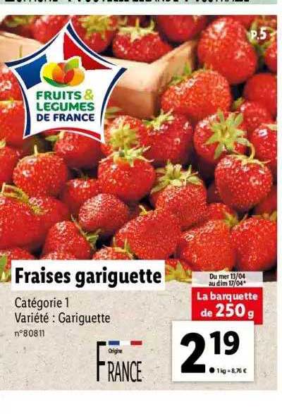 fraises gariguette