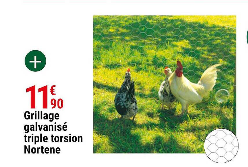 Grillage Galvanisé Triple Torsion Nortene