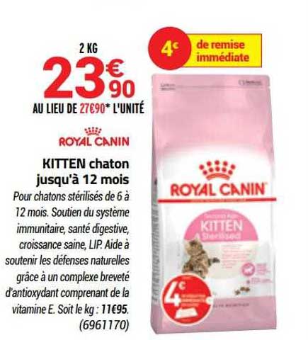 kitten chaton jusqu'à 12 mois royal canin