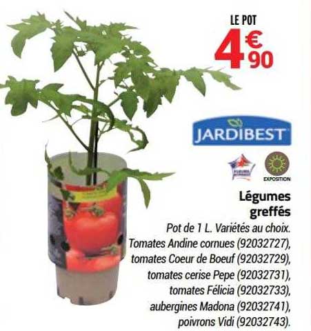 légumes greffés