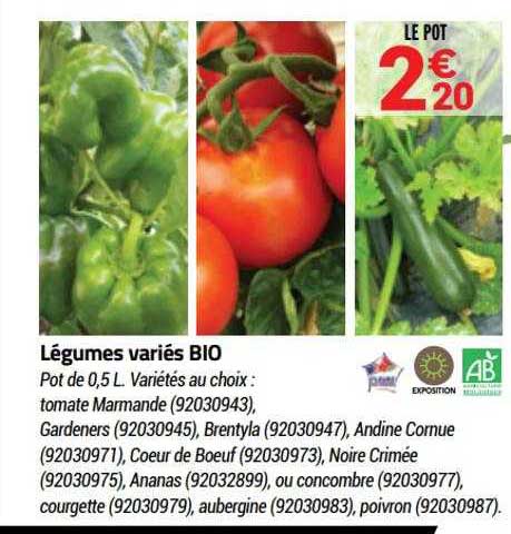 légumes variées bio