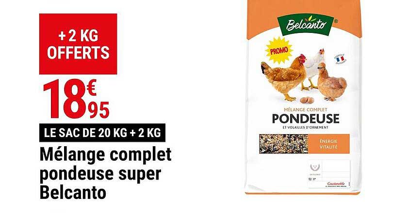 mélange complet pondeuse super belcanto