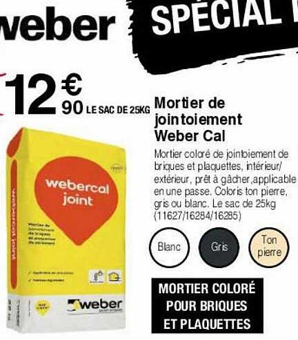 Mortier De Jointoiement Weber Cal