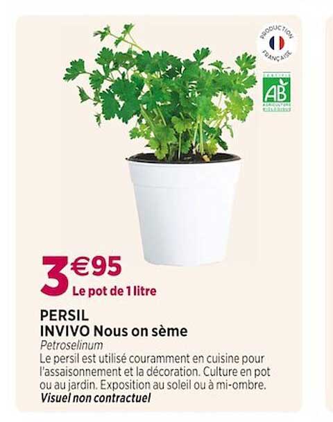 persil invivo nous on sème