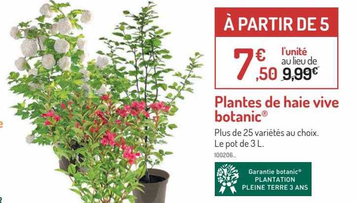 plantes de haie vive botanic