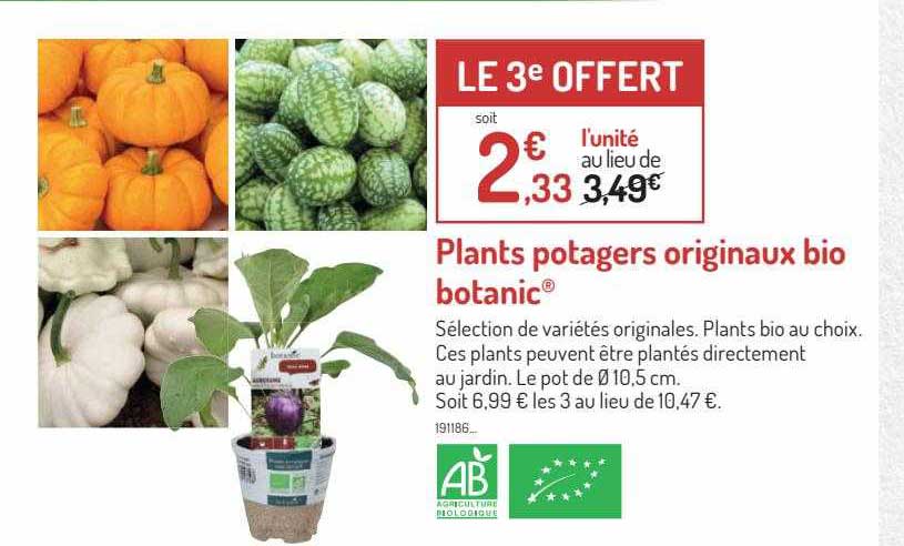 plants potagers originaux bio botanic