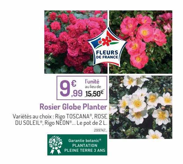 rosier globe planter