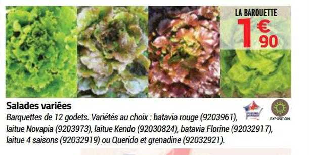 salades variées