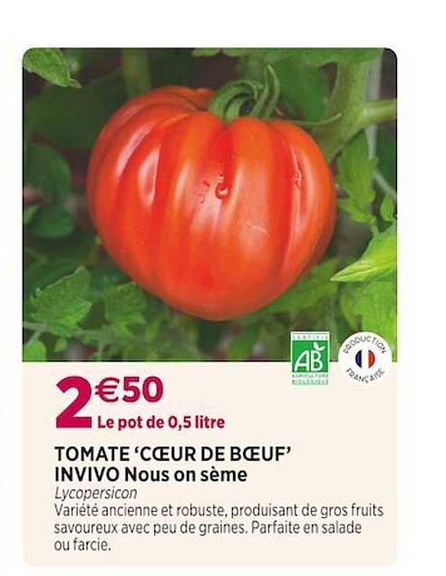 tomate "cœur de bœuf" invivo nous on sème