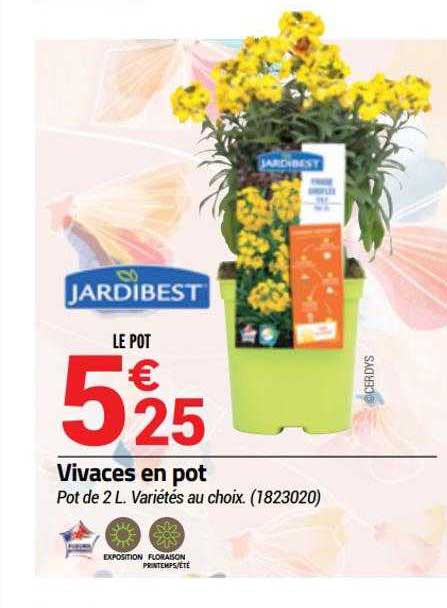 Vivaces En Pot Jardibest